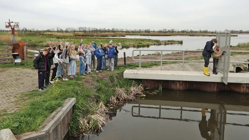 waterberging willeskop